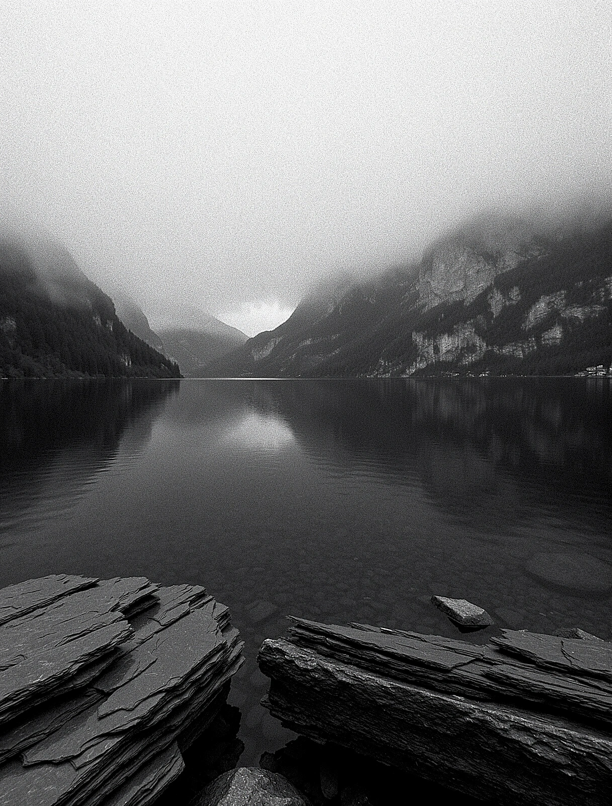 Alpine Mist